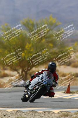 media/Apr-10-2022-SoCal Trackdays (Sun) [[f104b12566]]/Turn 5 Tree of Life (1040am)/